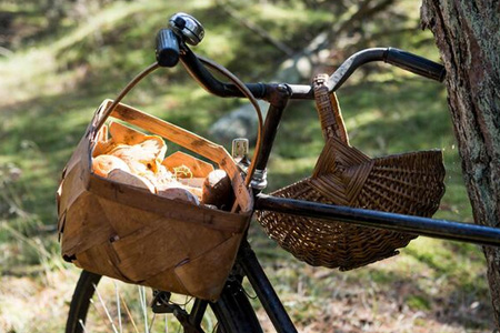 bonheur bicyclette 01