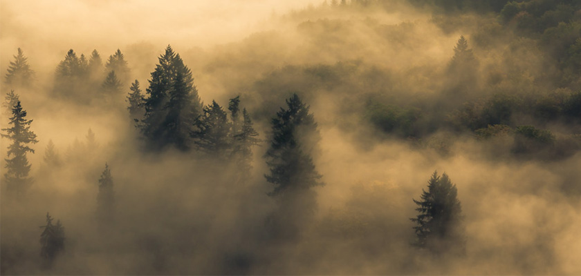 voir faire introduction 00