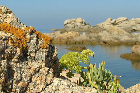 cotes mediterraneenne 01